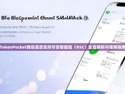 TokenPocket钱包是否支持币安智能链（BSC）全面解析与使用指南