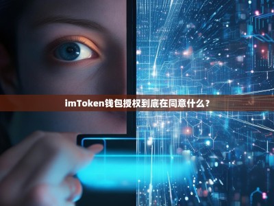 imToken钱包授权到底在同意什么？